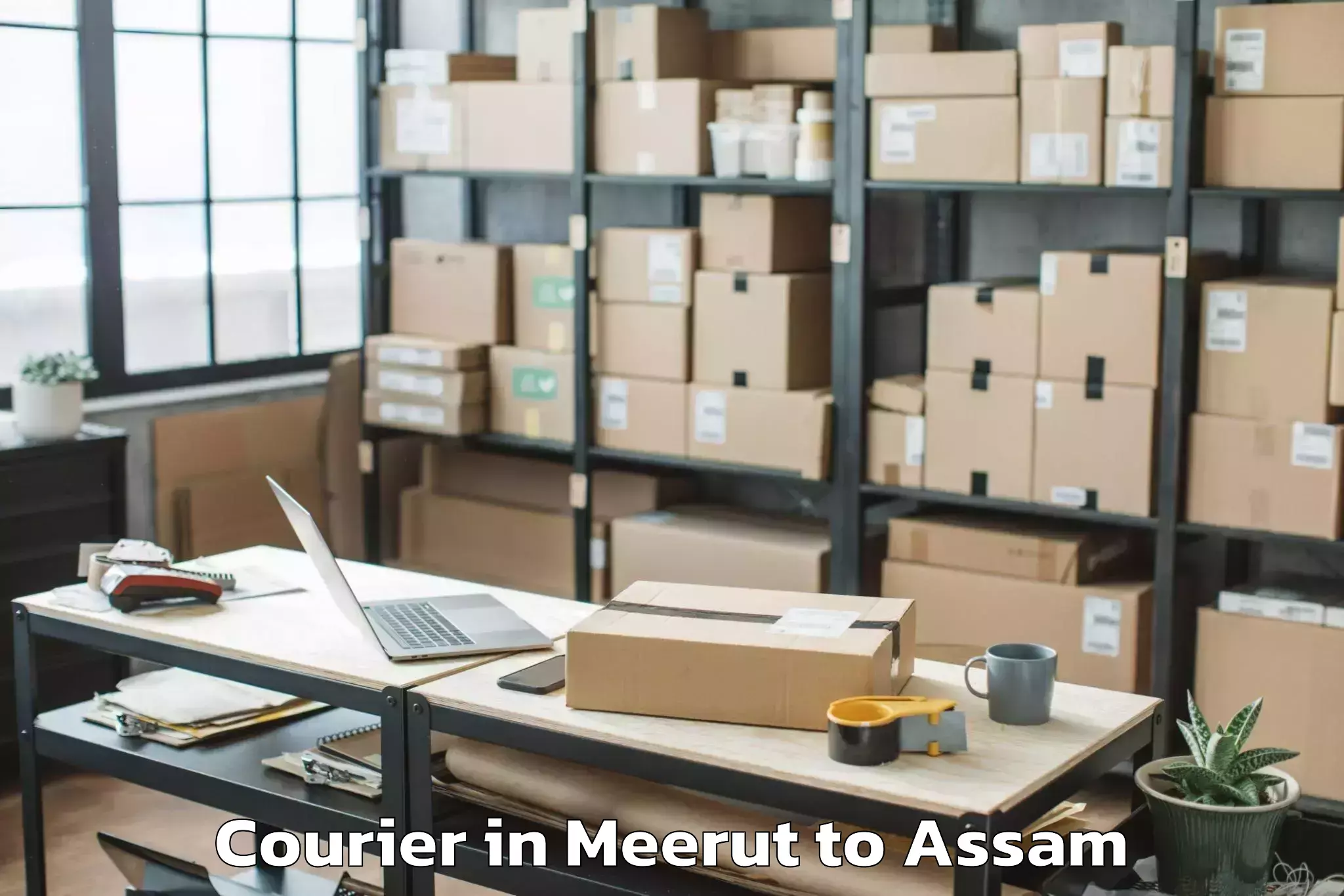 Book Meerut to Dhakuakhana Courier Online